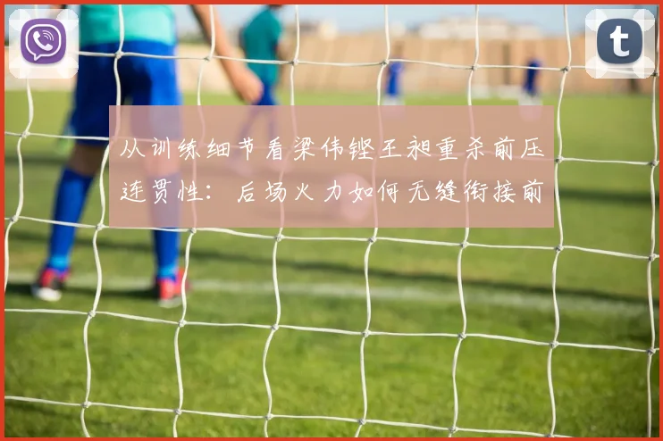 从训练细节看梁伟铿王昶重杀前压连贯性：后场火力如何无缝衔接前场封网