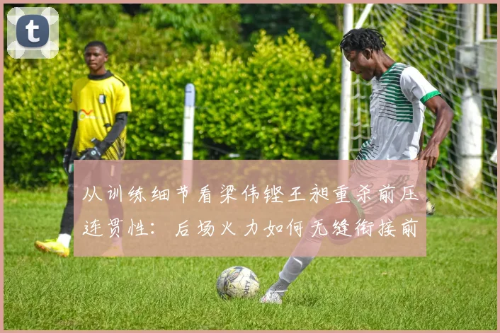 从训练细节看梁伟铿王昶重杀前压连贯性：后场火力如何无缝衔接前场封网