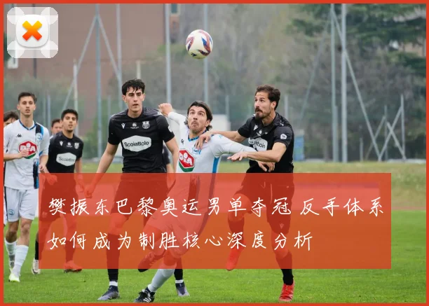 樊振东巴黎奥运男单夺冠 反手体系如何成为制胜核心深度分析