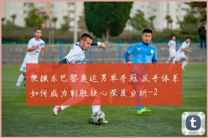 樊振东巴黎奥运男单夺冠 反手体系如何成为制胜核心深度分析